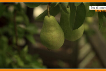Sorsi di Benessere – Un gustoso frullato di pere