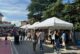 Fine settimana con Fiera al Piano e Torrita Biodiversità a Torrita di Siena