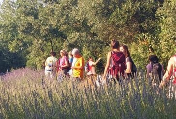 Natura, acque e luppolo con “A Spasso per…Trekking della Birra 2025”