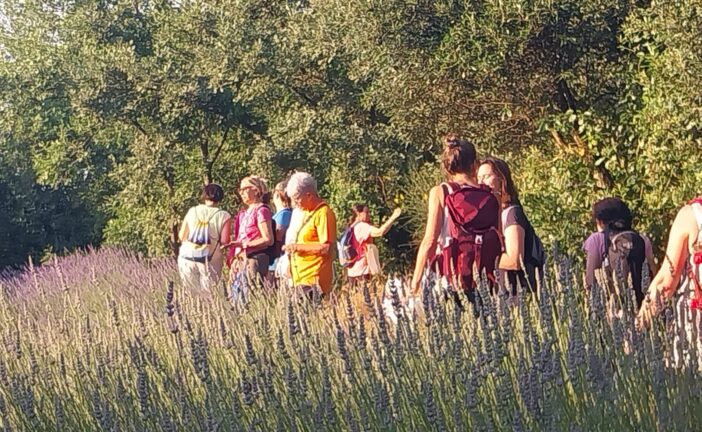 Natura, acque e luppolo con “A Spasso per…Trekking della Birra 2025”