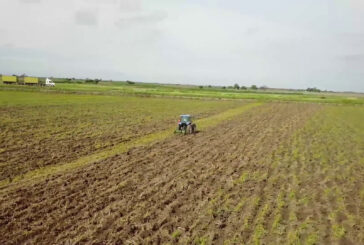 L'Italia rafforza i partenariati agricoli