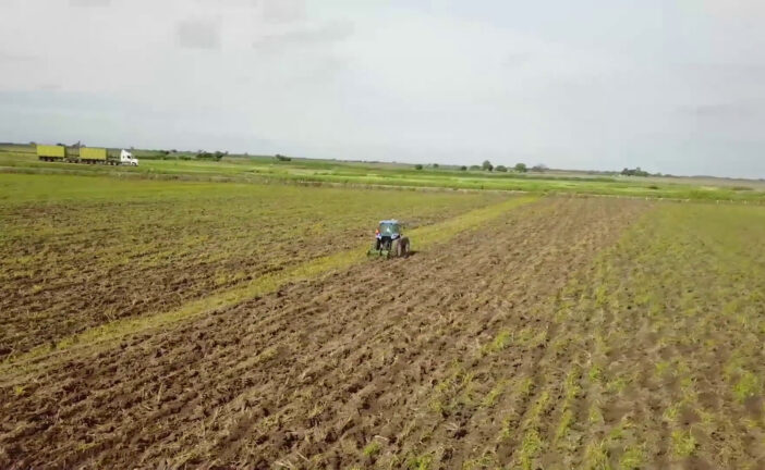 L'Italia rafforza i partenariati agricoli
