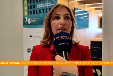 Tardino "L'eolico offshore è una grande opportunità di crescita"