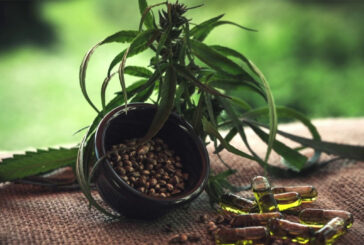 Il cannabidiolo riduce i sintomi di una forma di epilessia