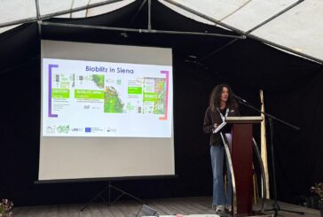 BiodiverCity: il percorso europeo per la biodiversità urbana