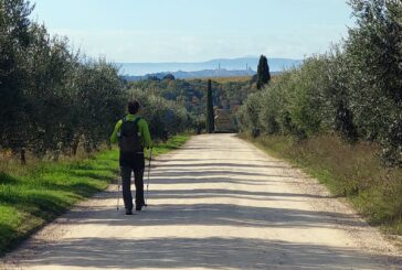A Castelnuovo Berardenga torna la Camminata tra gli Olivi