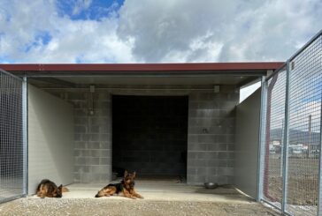 Randagismo: nuove convenzioni per la gestione associata