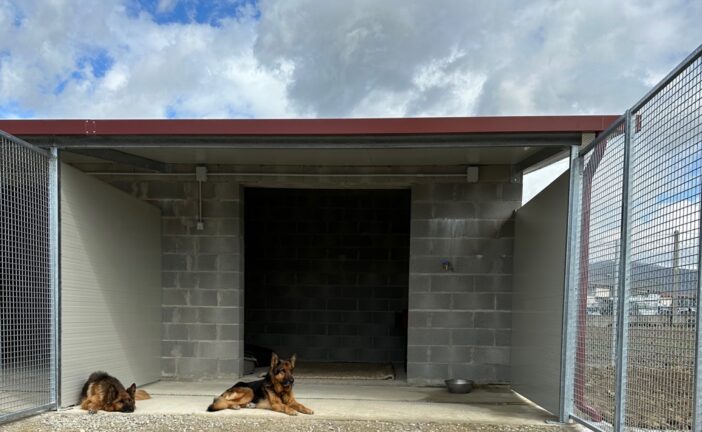 Randagismo: nuove convenzioni per la gestione associata