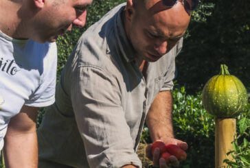 S.O.S.tienimi Olivo lancia la sua nuova campagna di raccolta fondi
