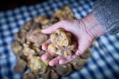 Mostra Mercato del Tartufo Bianco delle Crete Senesi: annunciato il programma