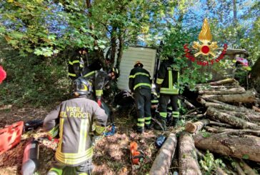 Furgone carico di legna si ribalta nel fosso: ferito il conducente