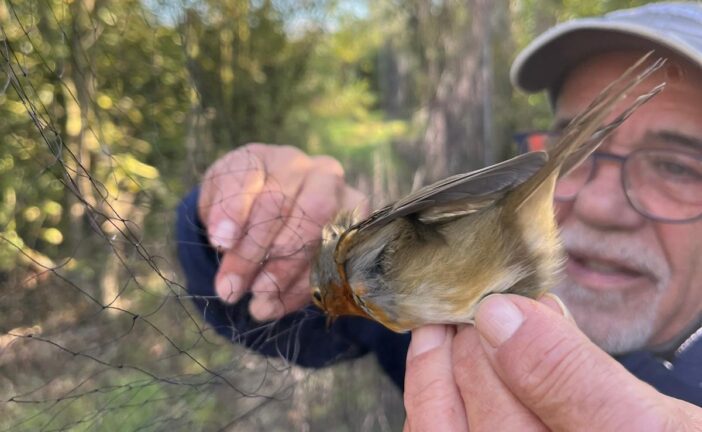 Al Lago di Montepulciano per scoprire le migrazioni degli uccelli della Riserva Naturale