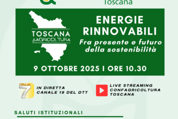 Transizione energetica: confronto su strumenti, esperienze e prospettive