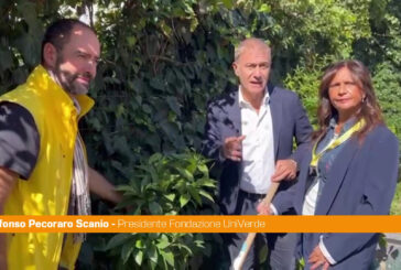 Pecoraro Scanio "La Festa degli alberi rilancia l'amore per la natura"
