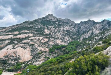 Ai Fisiocritici: “Montecristo, le ultime ricerche su flora e fauna”