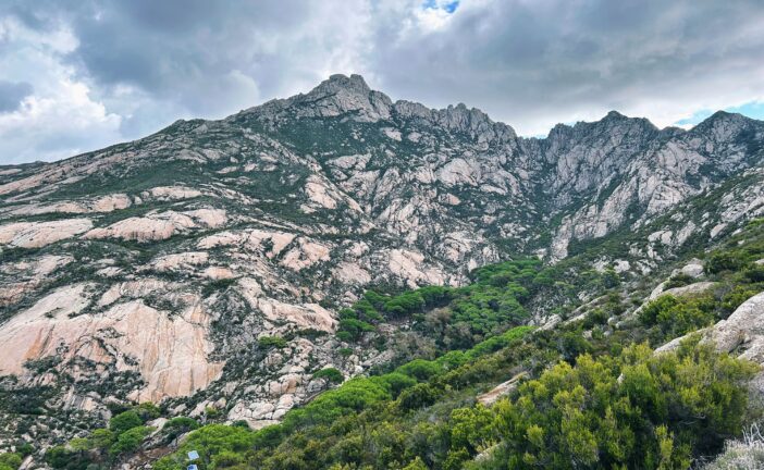 Ai Fisiocritici: “Montecristo, le ultime ricerche su flora e fauna”
