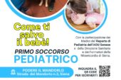 “Come ti salvo il bebè!”: corso di Primo Soccorso Pediatrico