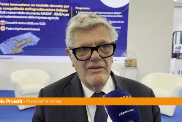 Ismea, Proietti "Puntiamo a riqualificazione imprese agricole del Sud"