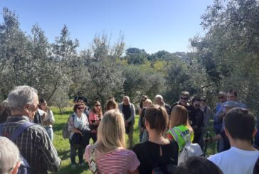 Camminata tra gli olivi 2025 a Montepulciano