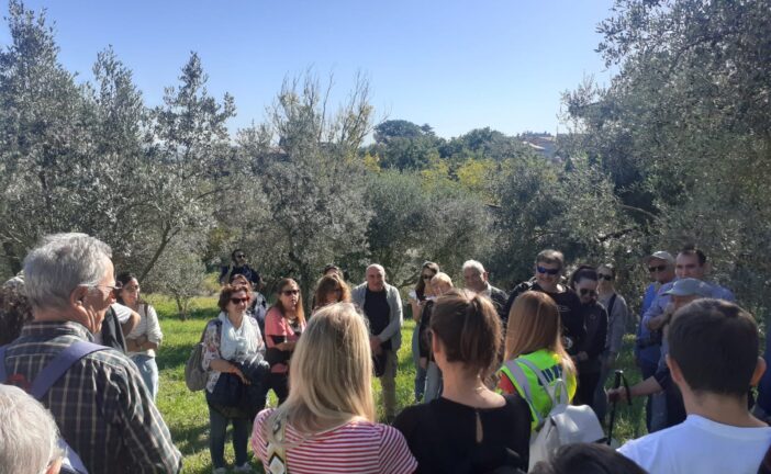 Camminata tra gli olivi 2025 a Montepulciano