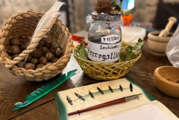 Giornata Nazionale delle famiglie al Museo… al Museo Archeologico del Chianti