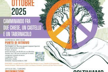 Turismo lento: Poggibonsi ‘cammina’ fra olivi ed eccellenze culturali