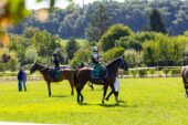 Sarteano ospita il Campionato Italiano di Monta Storica