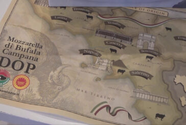 Mozzarella di bufala al top sul web, simbolo benessere e felicità