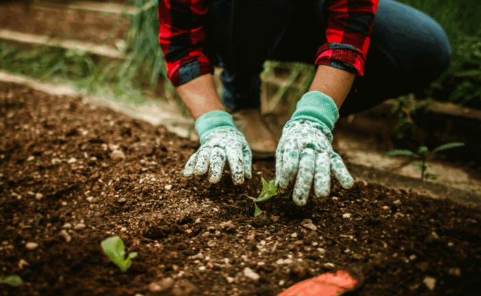 Orti urbani per l’inclusione sociale: al via il progetto rivolto ai giovani di Montepulciano