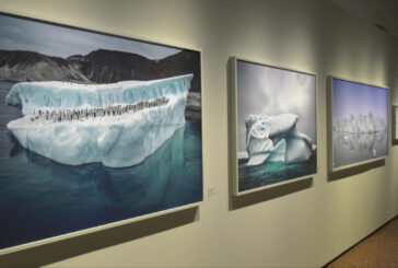 Vicenza, alle Gallerie d'Italia la mostra "Cristina Mittermeier"