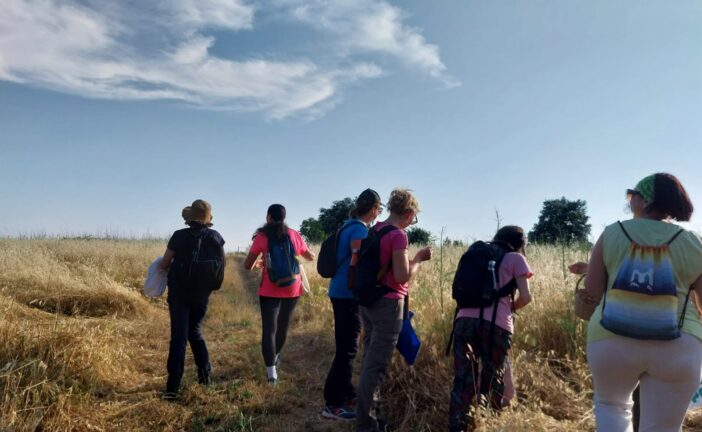 La ‘Camminata tra gli Olivi’ fa tappa anche a Rapolano Terme