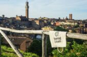 Tutto pronto per il Trekking Urbano 2025