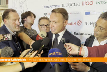 Governo, Lollobrigida "I risultati ci stanno premiando"