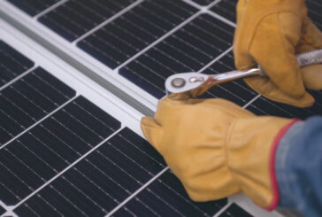 Lavoro, "green jobs" i più richiesti dalle imprese