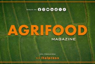 Agrifood Magazine – 26/11/2025