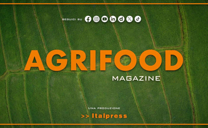 Agrifood Magazine – 26/11/2025