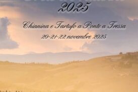 A Monteroni 4 giorni dedicati alla valorizzazione della Chianina e del tartufo bianco