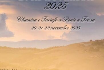 A Monteroni 4 giorni dedicati alla valorizzazione della Chianina e del tartufo bianco