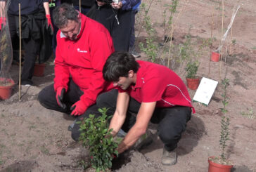 TIM pianta 400 nuovi alberi a Roma per contribuire al miglioramento urbano
