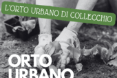 Castelnuovo: avviso per l’assegnazione degli orti urbani di Collecchio