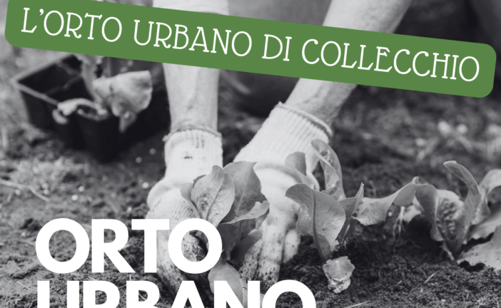 Castelnuovo: avviso per l’assegnazione degli orti urbani di Collecchio