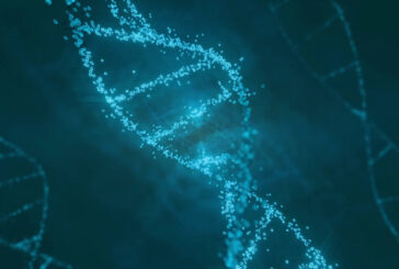 Cardiomiopatie, identificato gene finora sconosciuto