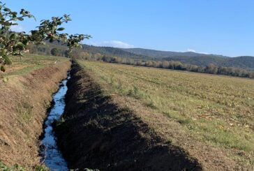 Manutenzione ordinaria sul Fosso della Fossetta