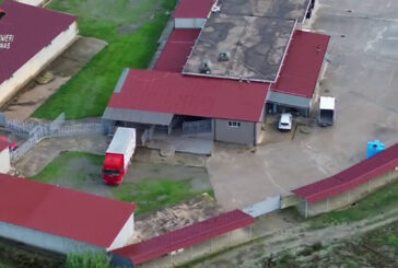 Macellazione clandestina di cavalli, un arresto e 5 denunce nel Crotonese