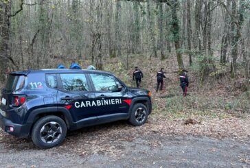 I Carabinieri smantellano un bivacco di spacciatori nel bosco di Piancastagnaio