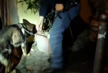 Stretta su movida a Roma, sanzioni a tappeto e chiuso un locale a Trastevere