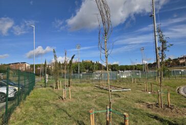 Siena celebra la Giornata nazionale degli alberi