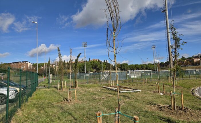 Siena celebra la Giornata nazionale degli alberi