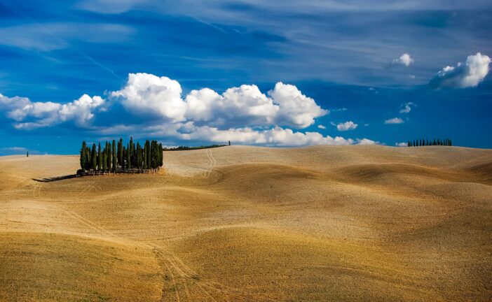 Gestire il suolo, preservare la vita: ai Fisiocritici strategia per un’agricoltura rigenerativa