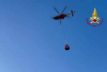 Recuperato con elicottero dai Vigili del fuoco cavallo bloccato nel fango
